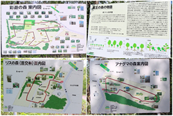観察路案内板 設置